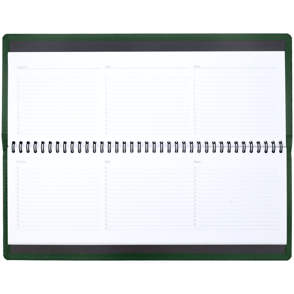 Планинг Latte, недатированный, зеленый / Миниатюра WWW (1000)