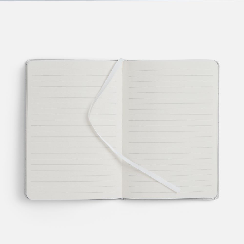 Блокнот Lactonica, серый / Миниатюра WWW (1000)