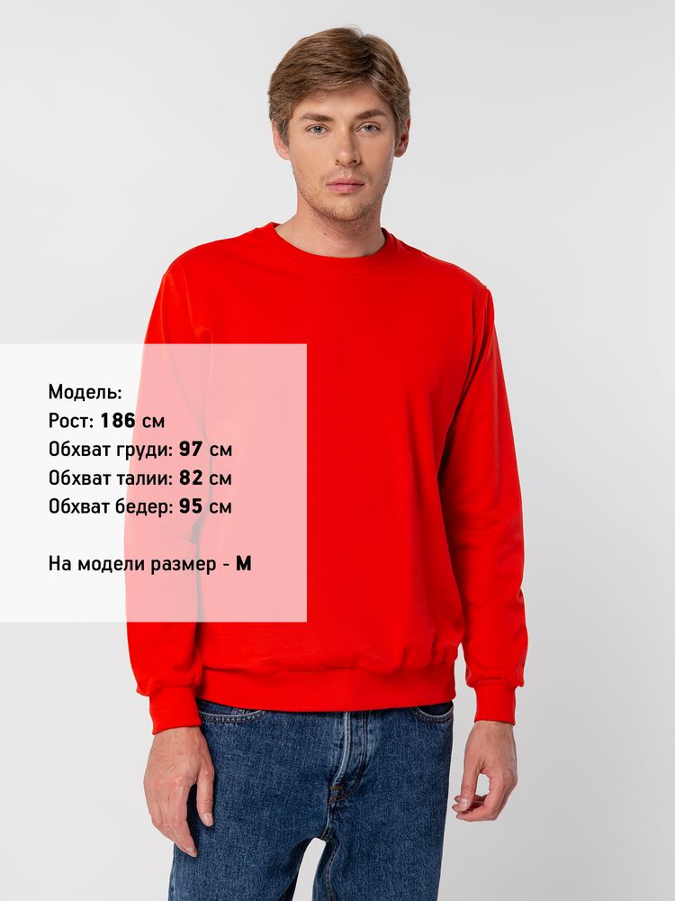 Свитшот Toima 2.0, красный / Миниатюра WWW (1000)