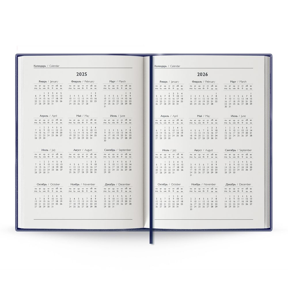 Ежедневник Baza, датированный, синий / Миниатюра WWW (1000)