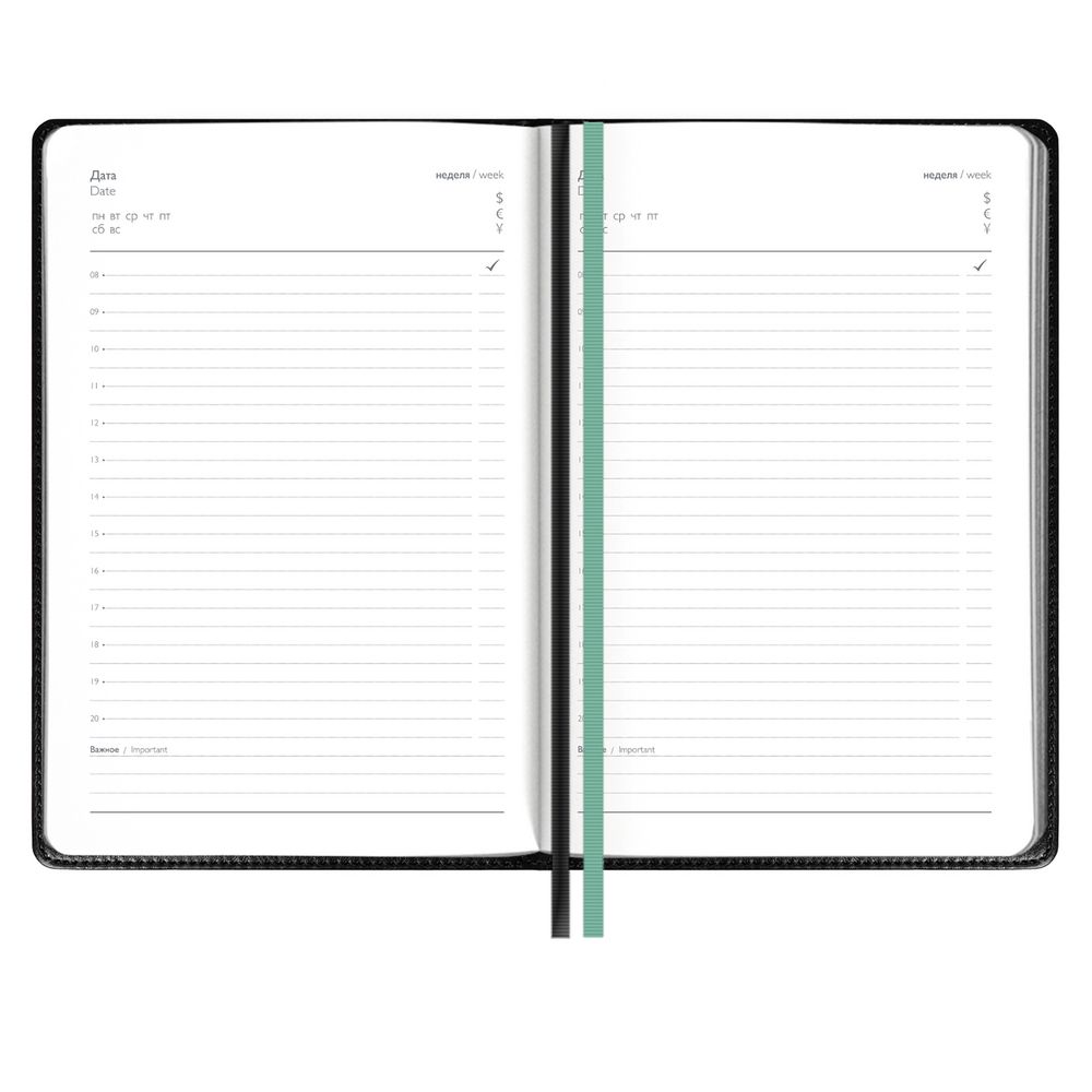 Ежедневник Alanis, недатированный, черный c бирюзовым / Миниатюра WWW (1000)