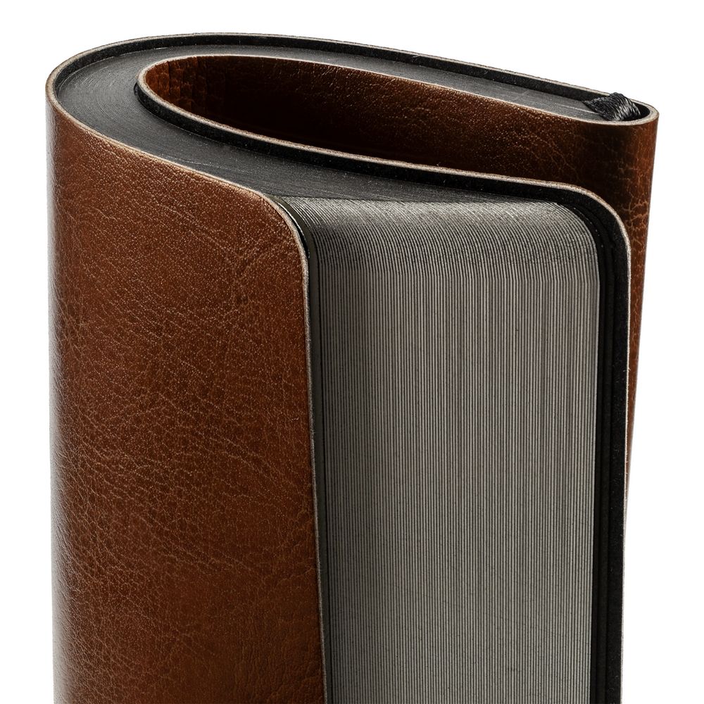 Ежедневник Shine, недатированный, коричневый / Миниатюра WWW (1000)