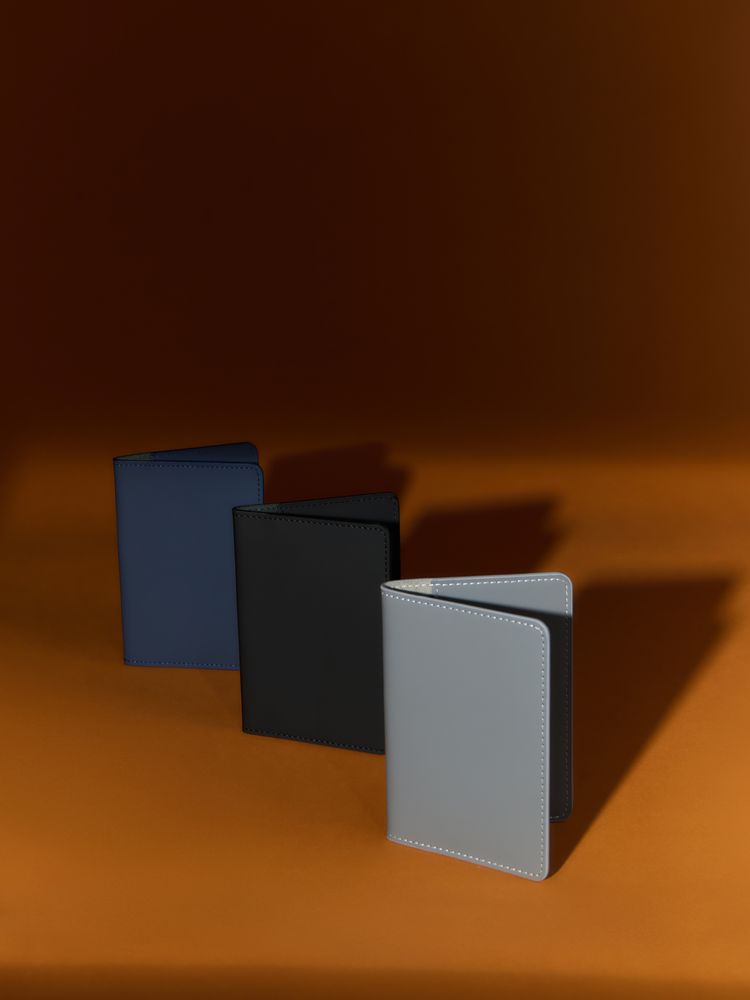 Обложка для паспорта Alaska, серая / Миниатюра WWW (1000)