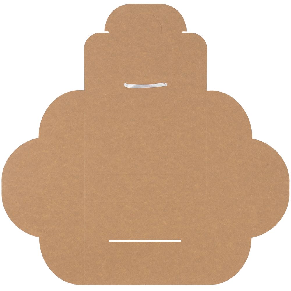 Упаковка Maiden, большая, крафт / Миниатюра WWW (1000)