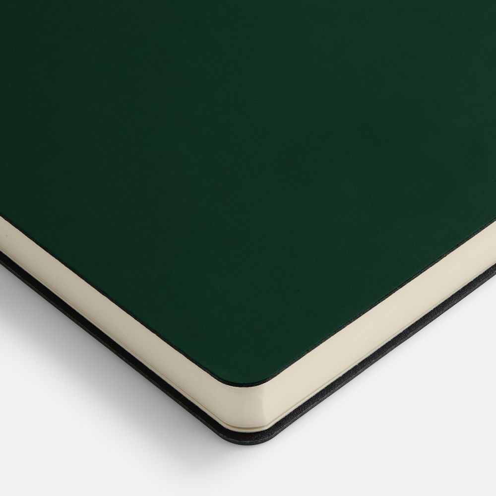 Ежедневник Flex Shall New, недатированный, зеленый / Миниатюра WWW (1000)