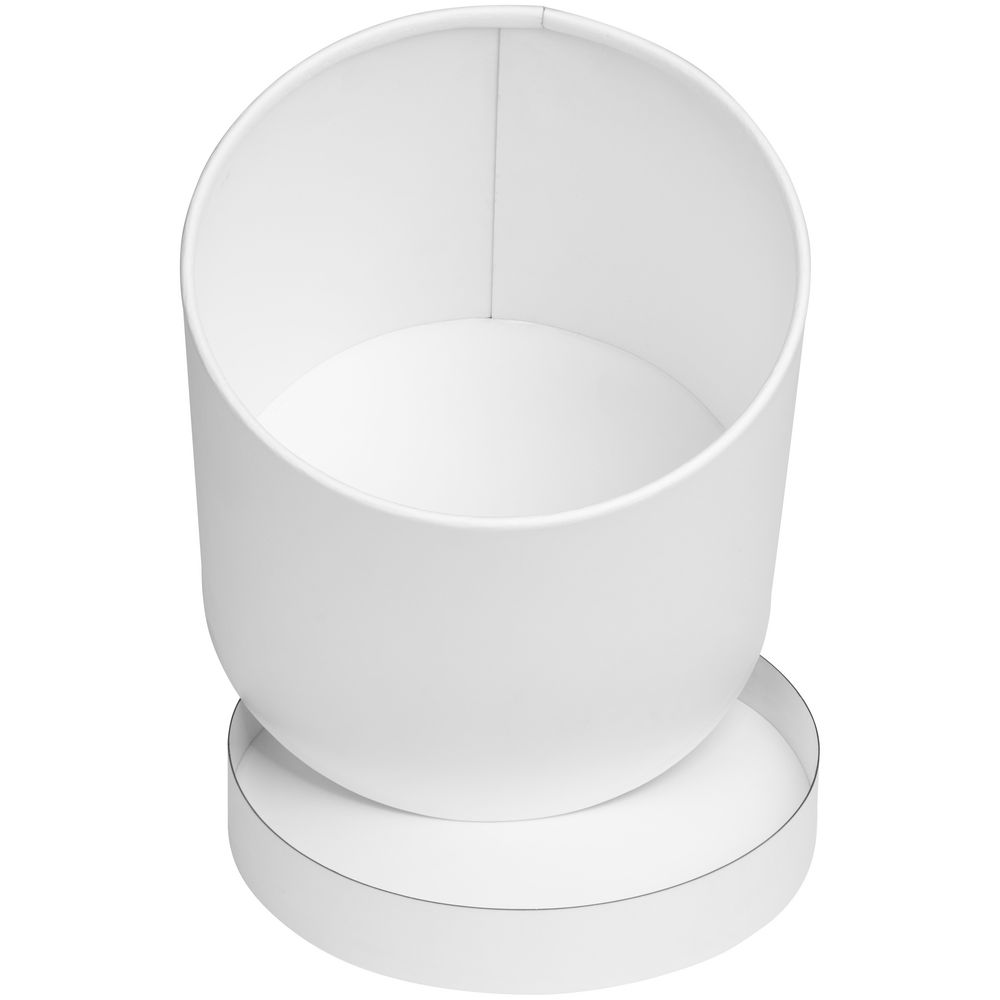 Коробка Circa L, белая / Миниатюра WWW (1000)