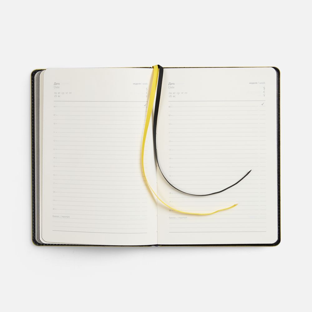 Ежедневник Alanis, недатированный, черный c желтым / Миниатюра WWW (1000)