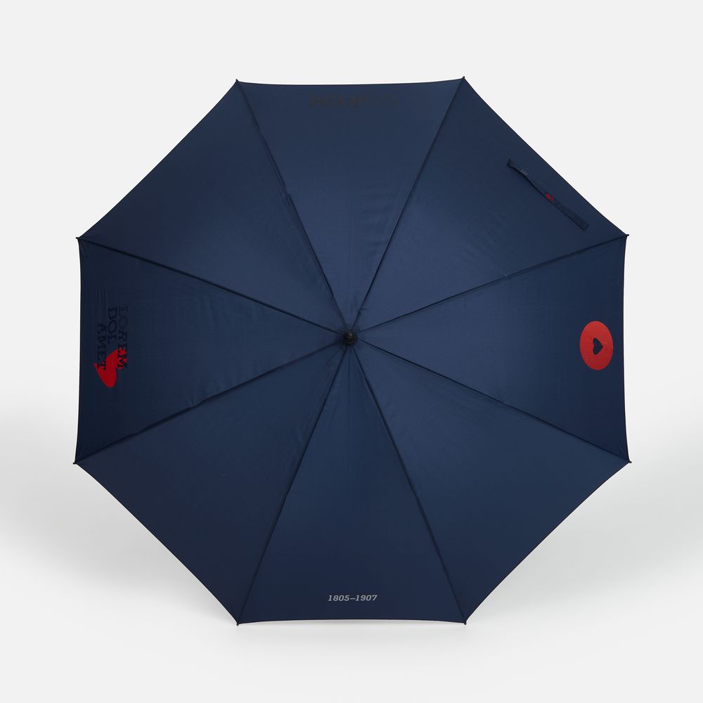 Зонт-трость Rainzee, темно-синий / Миниатюра нанесения (1000)