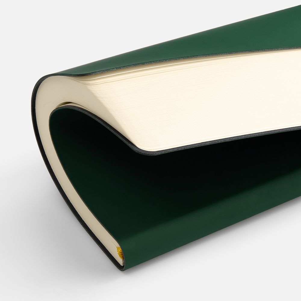 Ежедневник Flex Shall New, недатированный, зеленый / Миниатюра (упак) (1000)