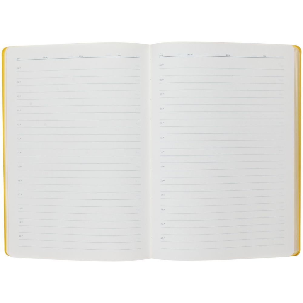 Ежедневник Flexpen, недатированный, серебристо-желтый / Миниатюра WWW (1000)
