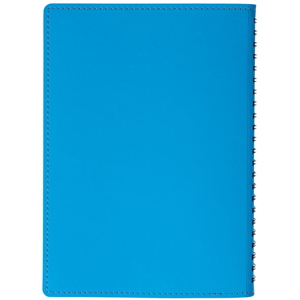 Ежедневник Spring Shall, недатированный, голубой / Миниатюра WWW (1000)