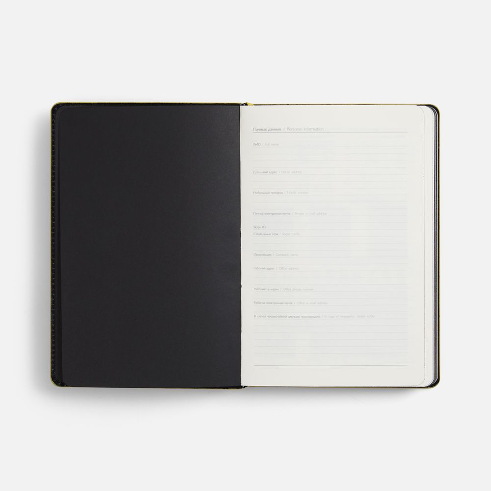 Ежедневник Alanis, недатированный, черный c желтым / Миниатюра WWW (1000)