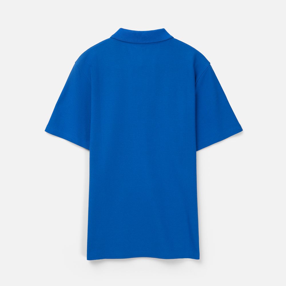 Рубашка поло унисекс Tervise, ярко-синяя / Миниатюра WWW (1000)