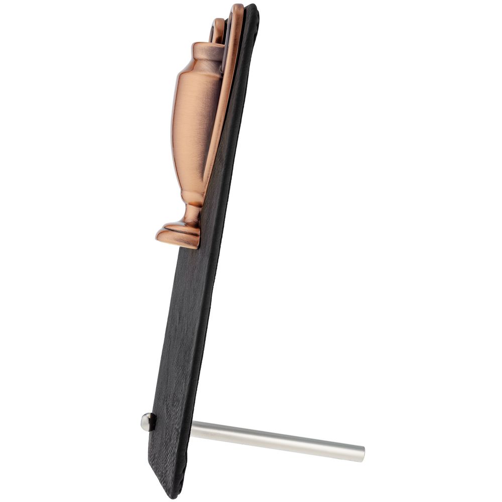 Награда Triumph Bronze / Миниатюра WWW (1000)