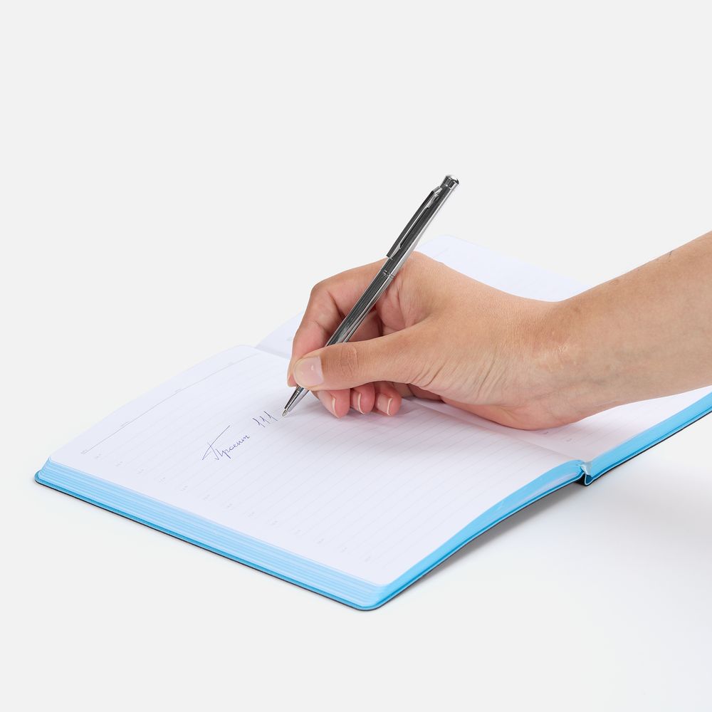 Ручка шариковая Hotel Ferra, серебристая / Миниатюра WWW (1000)