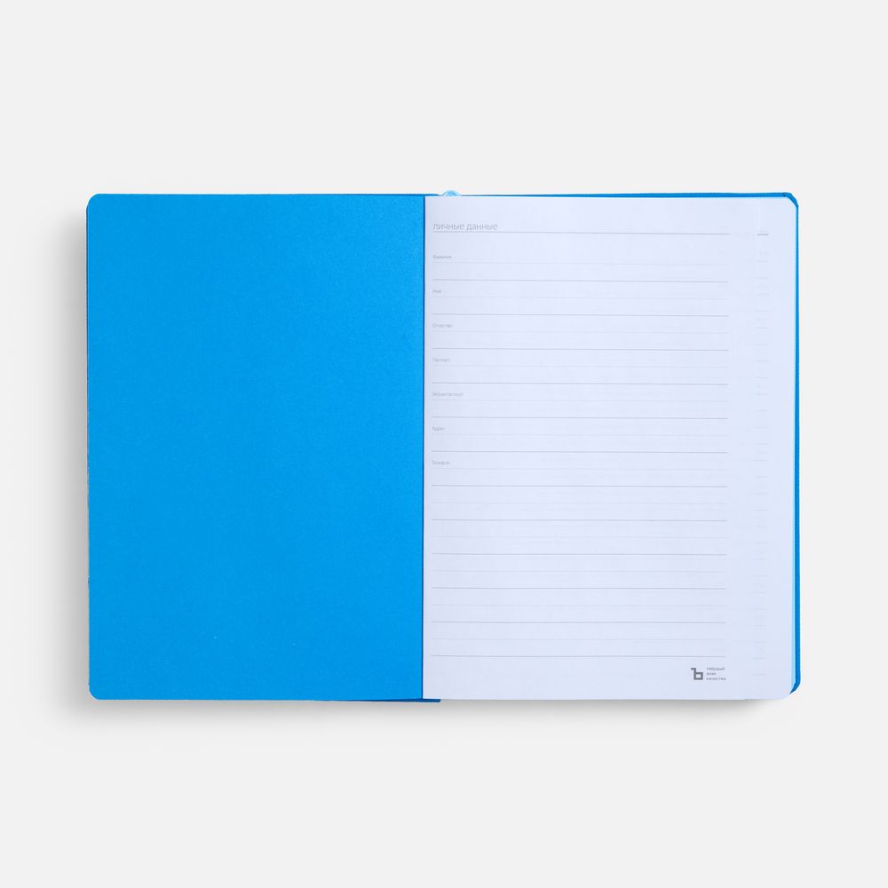 Ежедневник Peel, недатированный, голубой / Миниатюра WWW (1000)