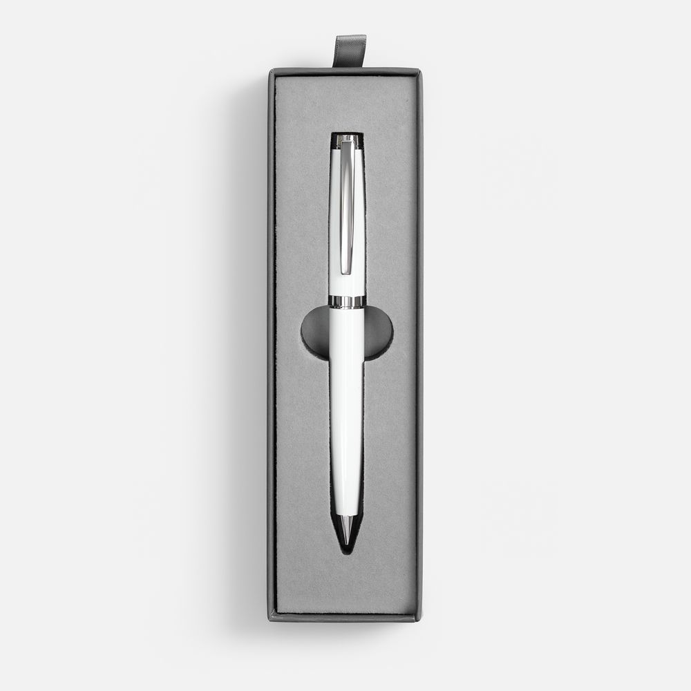 Ручка шариковая Letra Chrome в футляре, белая / Миниатюра WWW (1000)