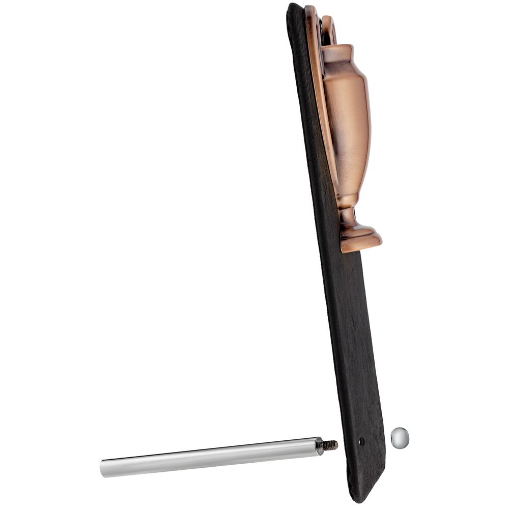 Награда Triumph Bronze / Миниатюра WWW (1000)