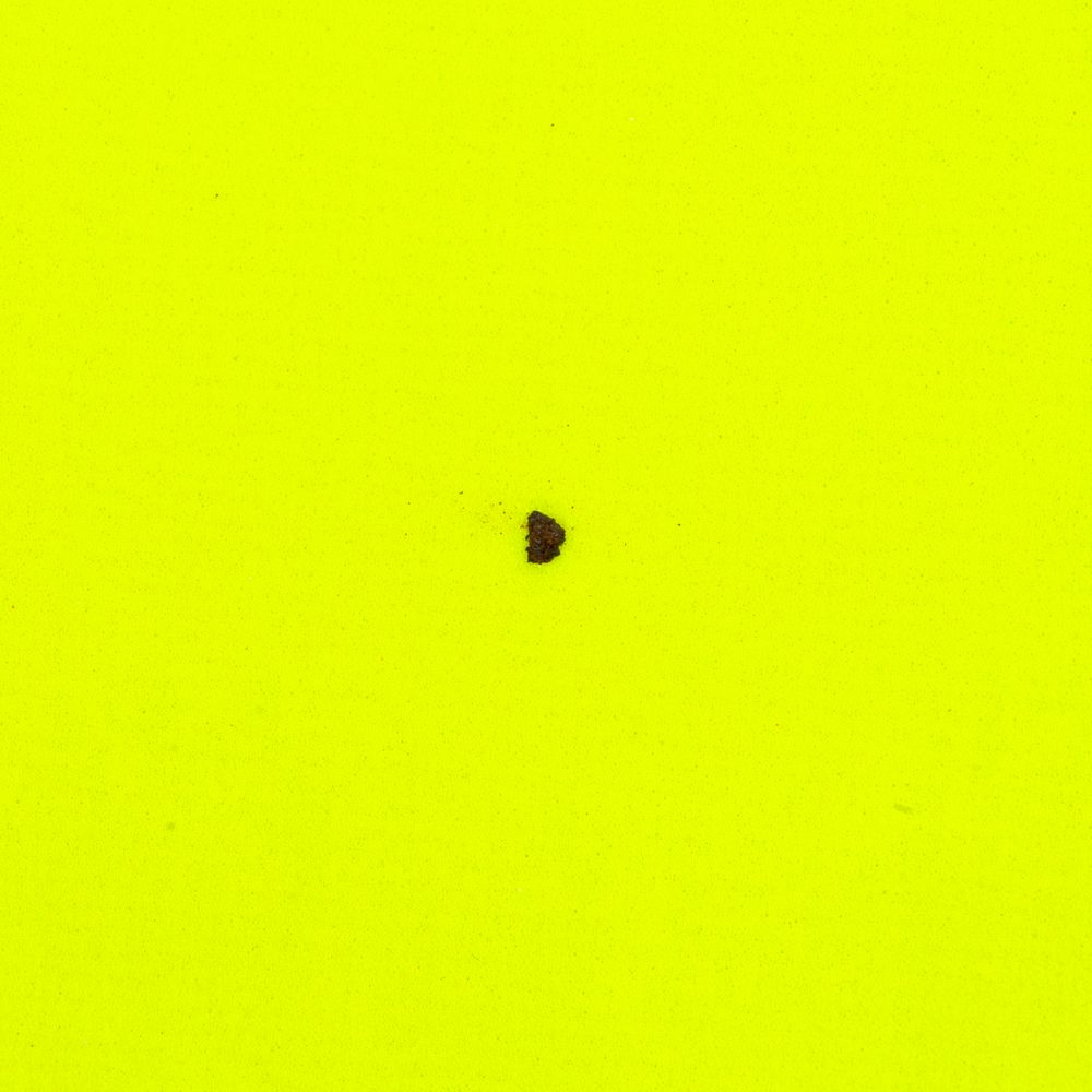 Рюкзак Manifest Color из светоотражающей ткани, желтый неон уценка / Миниатюра WWW (1000)