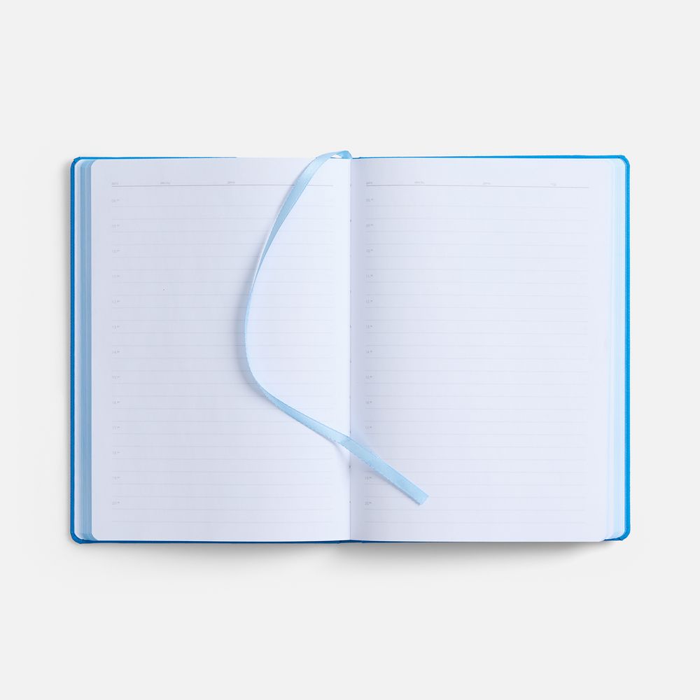 Ежедневник Peel, недатированный, голубой / Миниатюра WWW (1000)