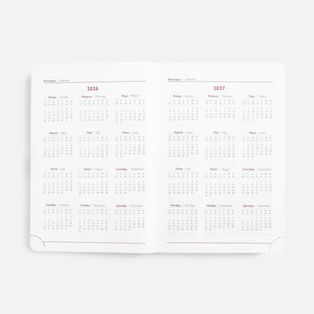 Ежедневник Faro, датированный, бордовый / Миниатюра WWW (1000)