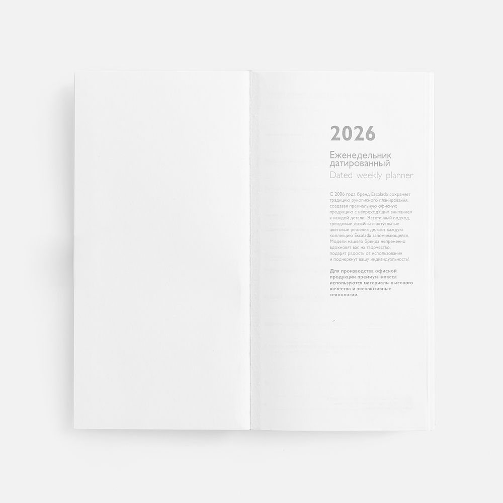 Еженедельник Baza, датированный, серый / Миниатюра WWW (1000)