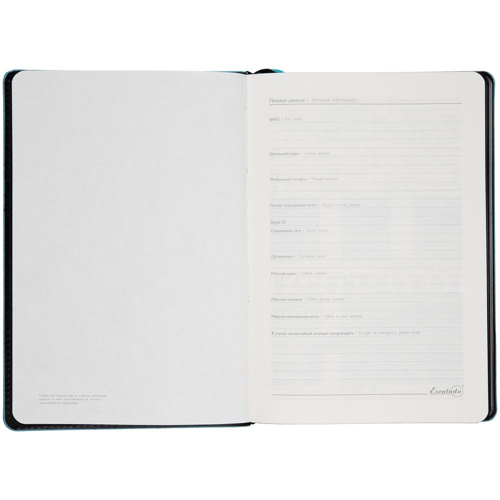 Ежедневник Alanis, недатированный, черный c голубым / Миниатюра WWW (1000)