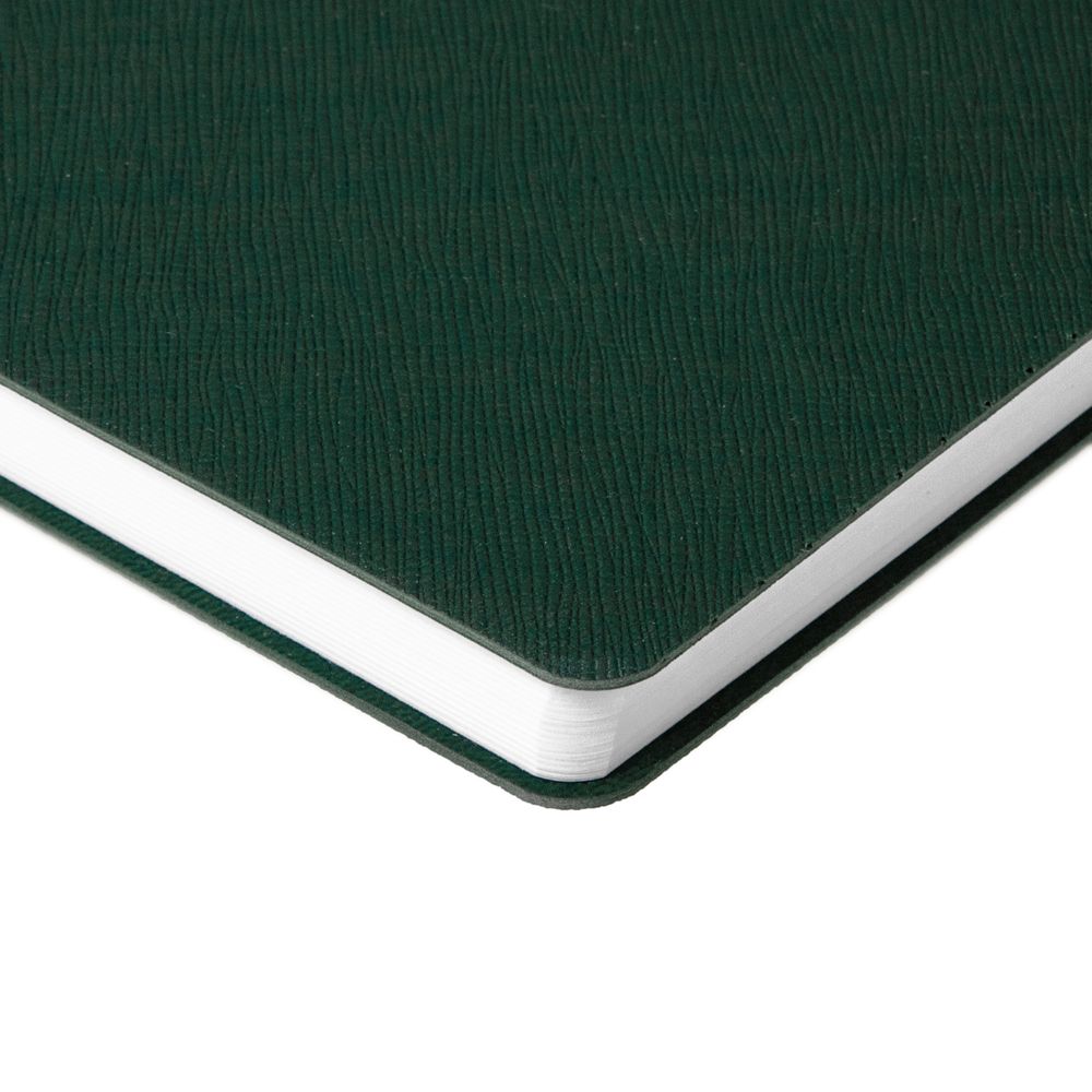 Ежедневник Flexpen Bright, недатированный, зеленый / Миниатюра WWW (1000)