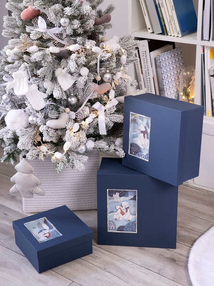 Коробка The Blue Bear, S / Миниатюра WWW (1000)