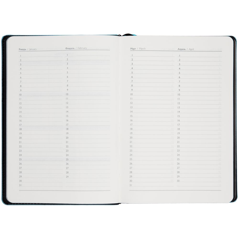 Ежедневник Alanis, недатированный, черный c голубым / Миниатюра WWW (1000)