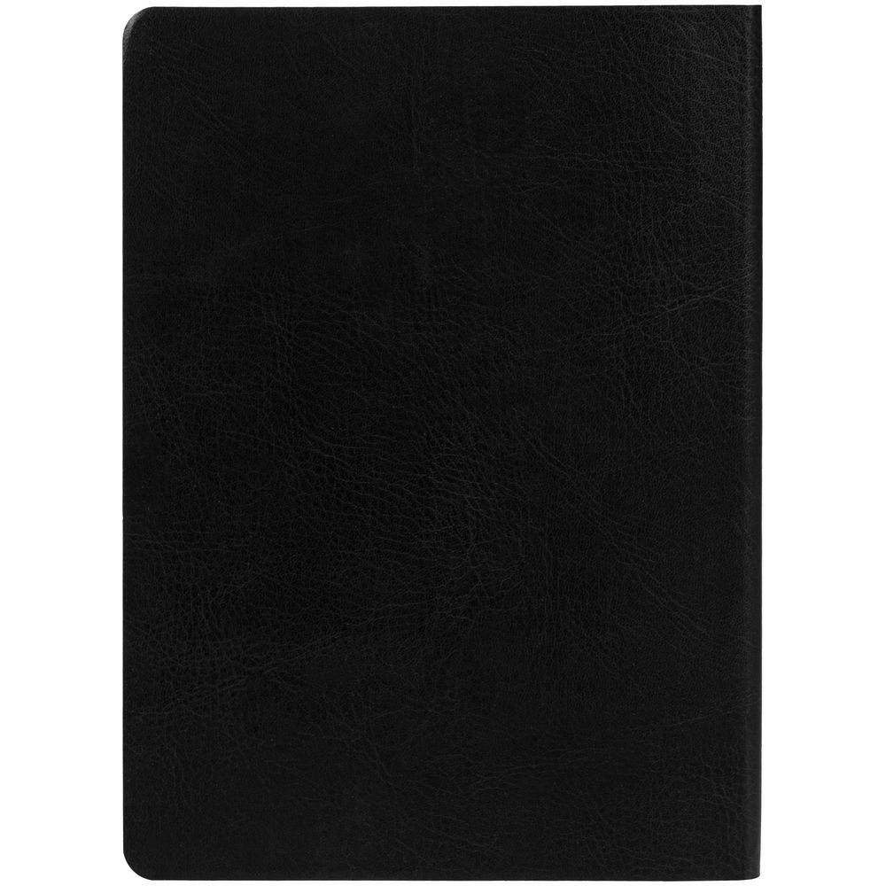 Ежедневник Nebraska Flex, недатированный, черный с золотистым / Миниатюра WWW (1000)