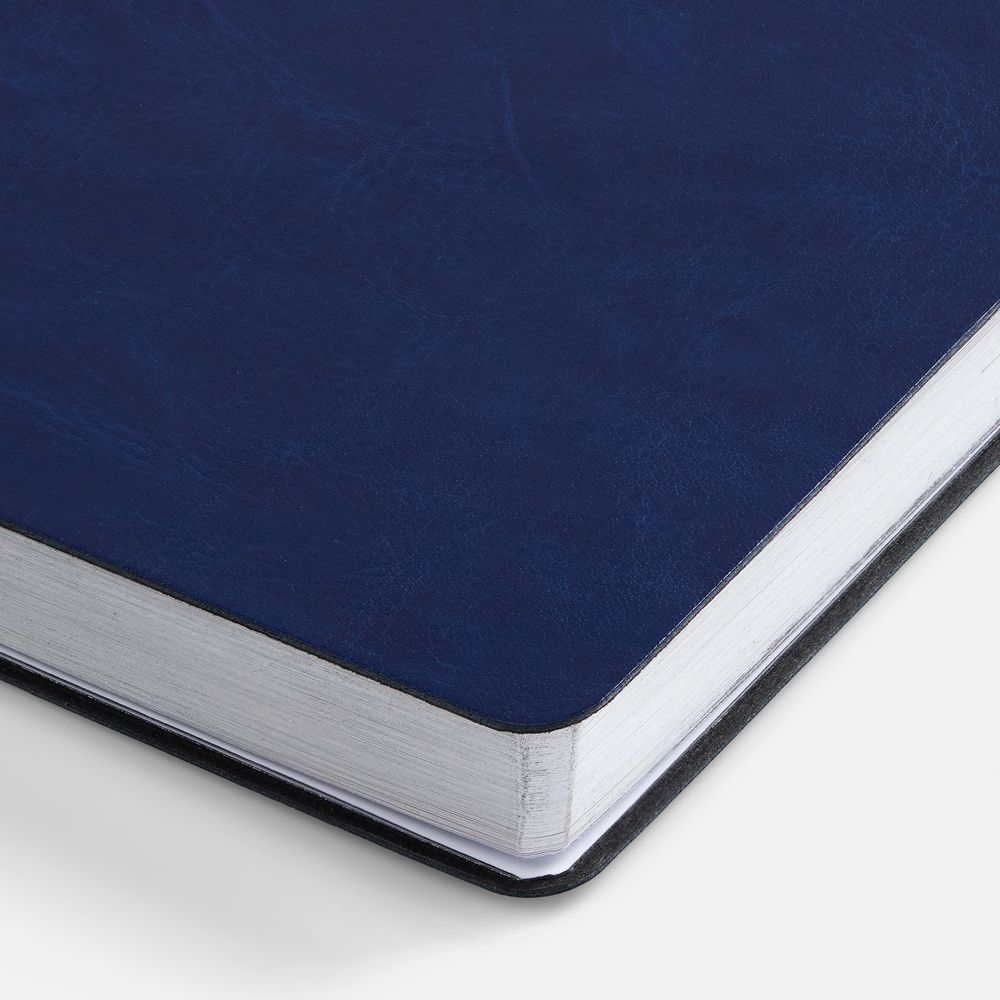 Ежедневник Nebraska Flex, недатированный, синий с серебром / Миниатюра WWW (1000)