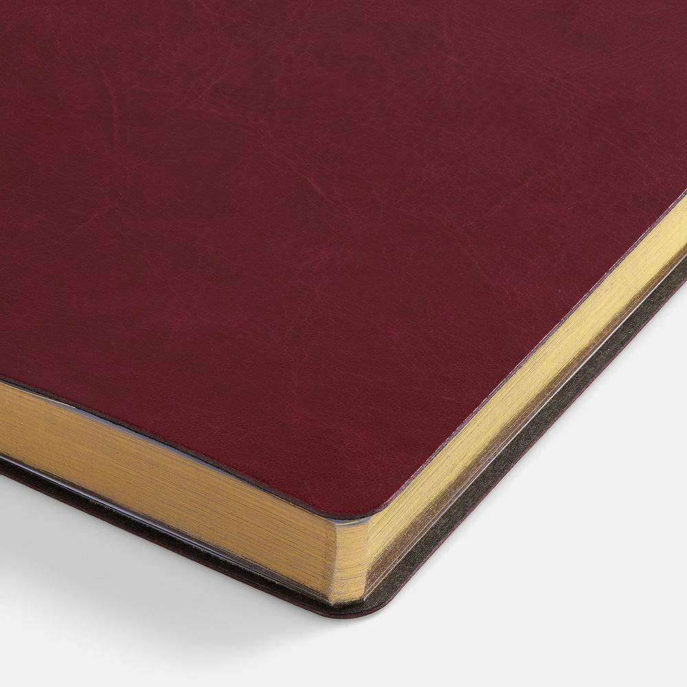 Ежедневник Nebraska Flex, недатированный, бордовый с золотистым / Миниатюра WWW (1000)