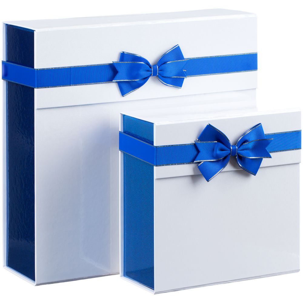 Коробка Gallant, L, белая с синим / Миниатюра WWW (1000)