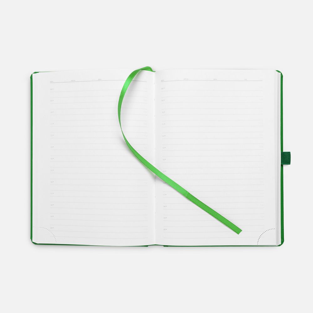 Ежедневник Favor Metal, недатированный, ярко-зеленый / Миниатюра WWW (1000)