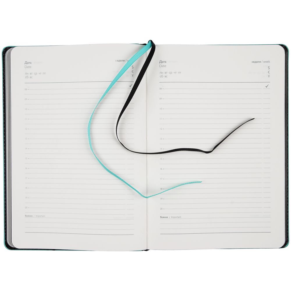 Ежедневник Alanis, недатированный, черный c голубым / Миниатюра WWW (1000)