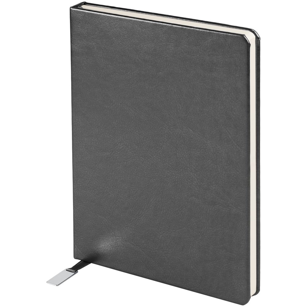 Ежедневник Ever, недатированный, серебристый / Миниатюра WWW (1000)