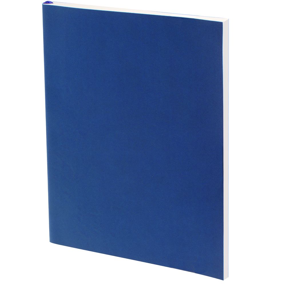 Ежедневник Flat Light ver.2, недатированный, синий / Миниатюра WWW (1000)