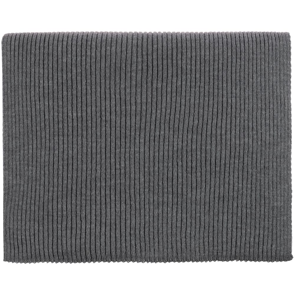 Шарф Alpine, серый / Миниатюра WWW (1000)