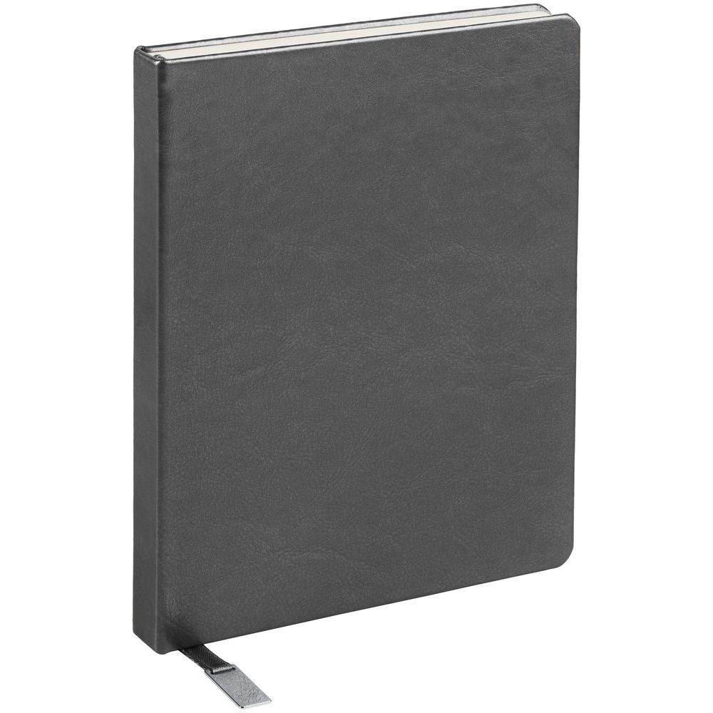 Ежедневник Ever, недатированный, серебристый / Миниатюра WWW (1000)