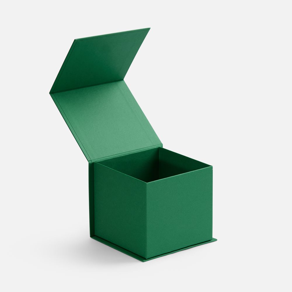 Коробка Alian, зеленая / Миниатюра WWW (1000)