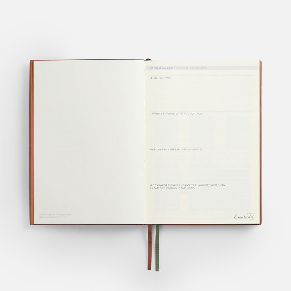 Ежедневник Avila, недатированный, зеленый / Миниатюра WWW (1000)