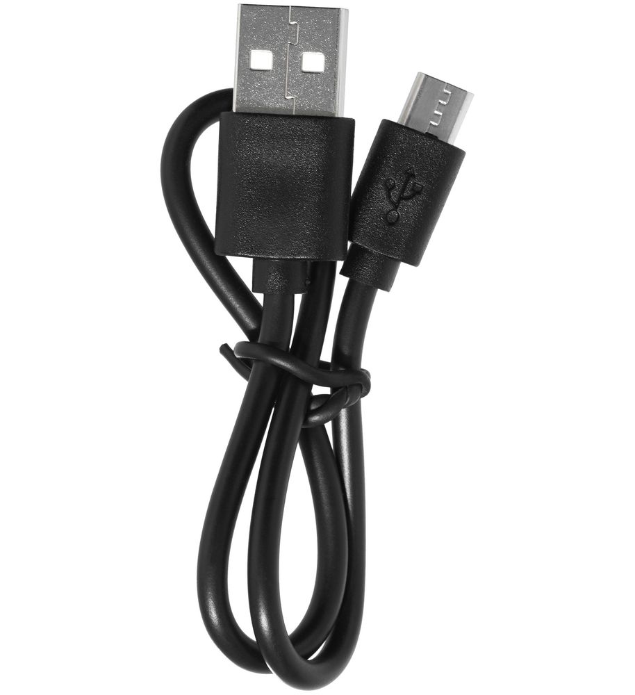 Фонарик Eco Run, серебристый / Миниатюра WWW (1000)