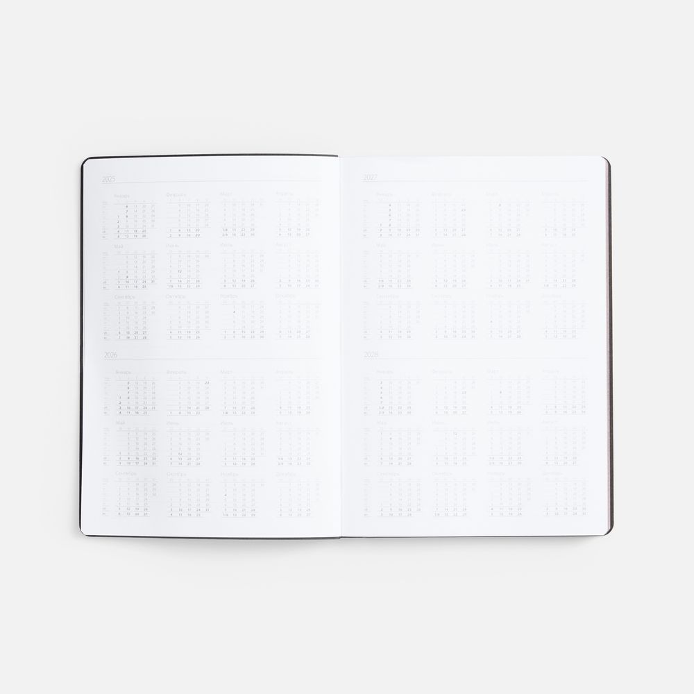 Ежедневник Nebraska Flex, недатированный, красный с золотистым / Миниатюра WWW (1000)