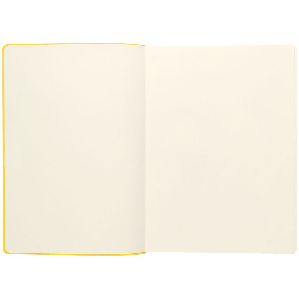 Ежедневник Flexpen, недатированный, серебристо-желтый / Миниатюра WWW (1000)