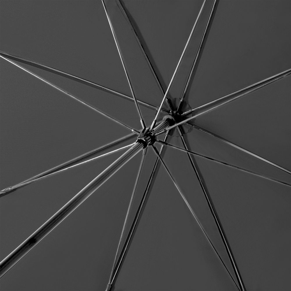 Зонт-трость Fiber Golf Fiberglas, черный / Миниатюра WWW (1000)