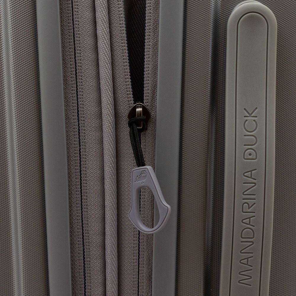 Чемодан Logoduck M, серебристый / Миниатюра WWW (1000)