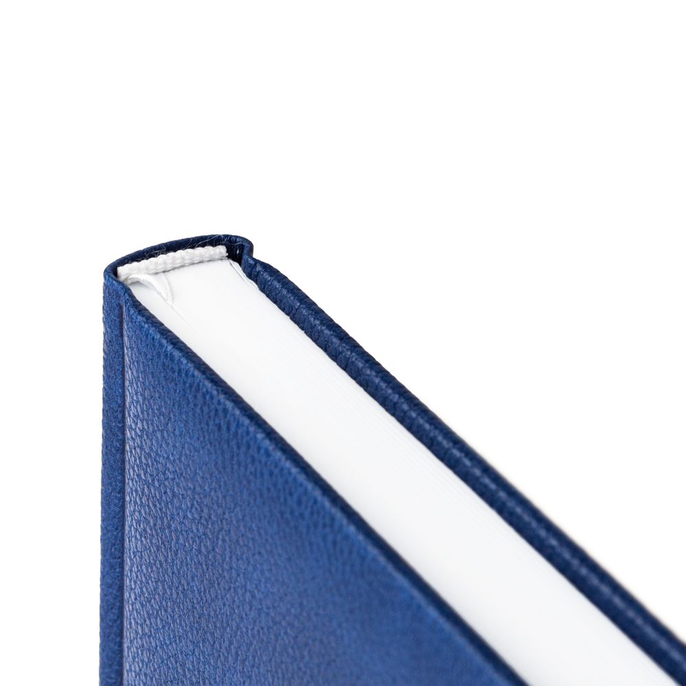 Ежедневник Sagrin, недатированный, синий / Миниатюра WWW (1000)