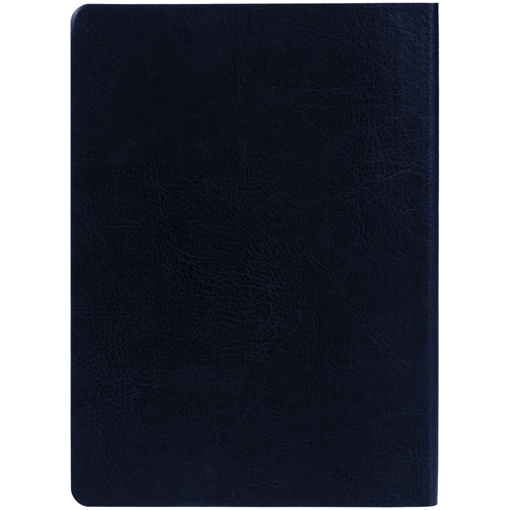 Ежедневник Nebraska Flex, недатированный, синий с золотистым / Миниатюра WWW (1000)