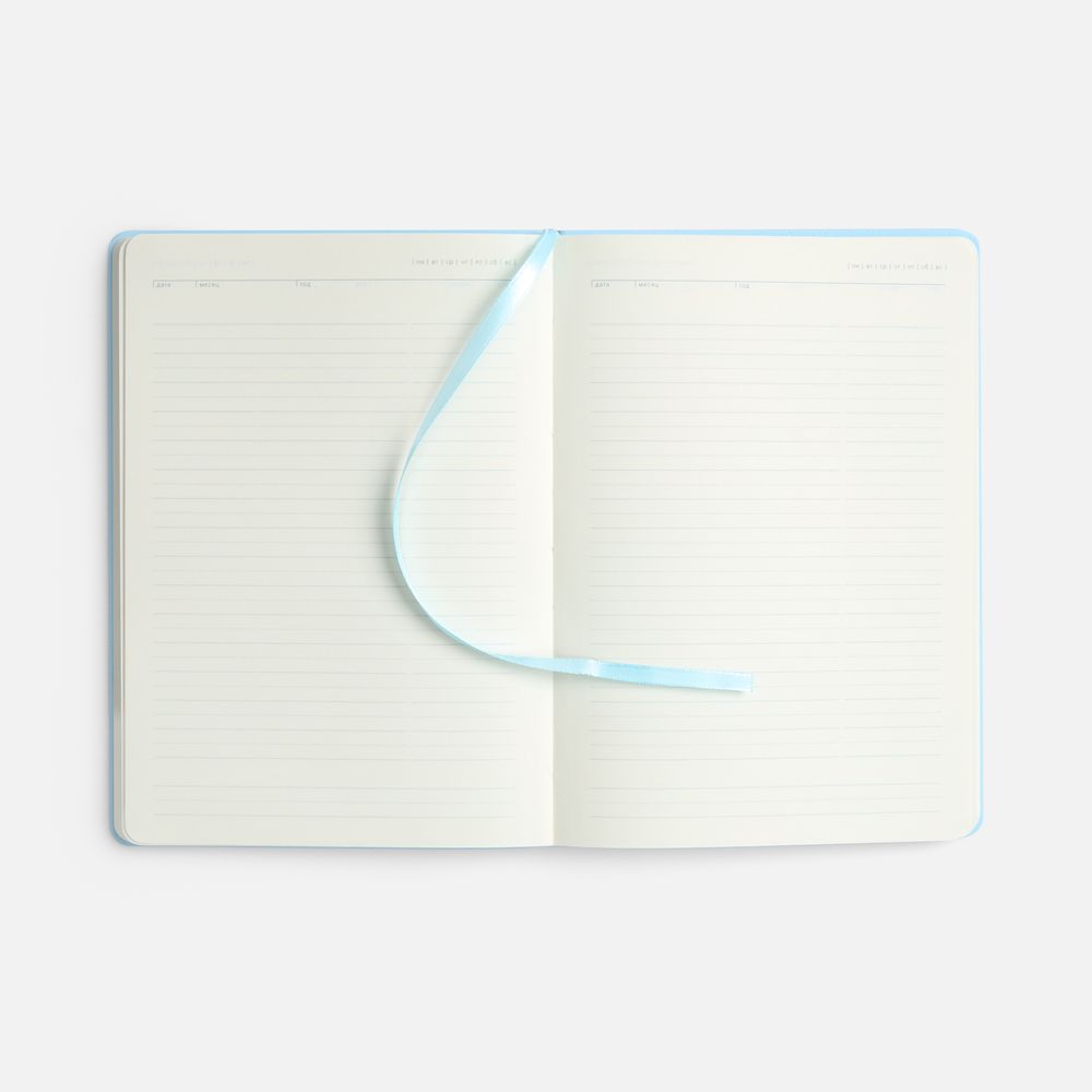 Ежедневник Vale New, недатированный, голубой / Миниатюра WWW (1000)